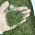 四川竹叶青茶2025新茶品质保证茶汤清香量大可走批发价