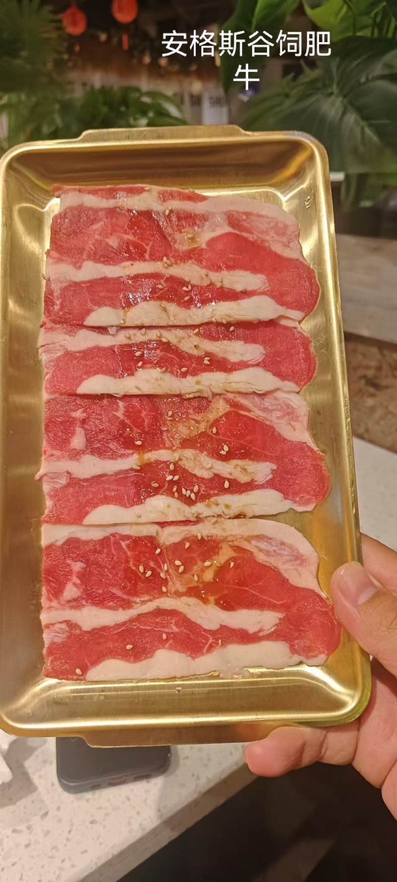 安格斯谷饲肥牛