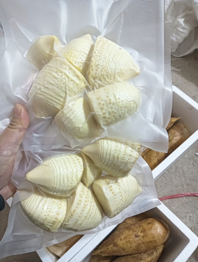 新鲜现剥冬笋肉，真空独立包装！