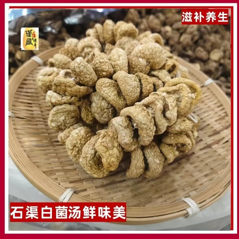 源头厂家自然晾晒干货石渠白菌大货可零售可批发量大从优
