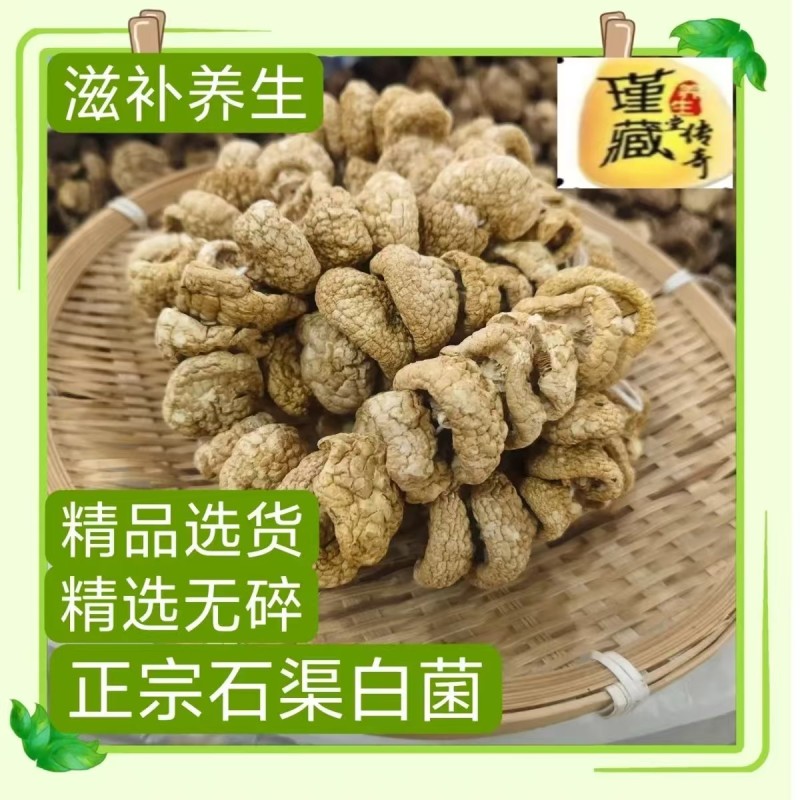 源头厂家自然晾晒干货石渠白菌大货可零售可批发量大从优