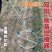 定植株距神器首推定植器烤烟定距齿20-75厘米可调节