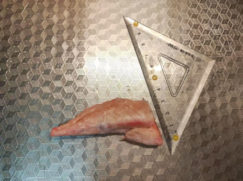 智利进口鸡翅尖，量大价优，精品货，近期生产清关完税