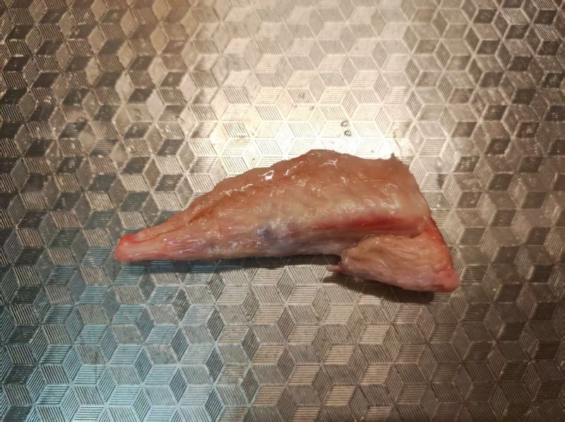 智利进口鸡翅尖，量大价优，精品货，近期生产清关完税