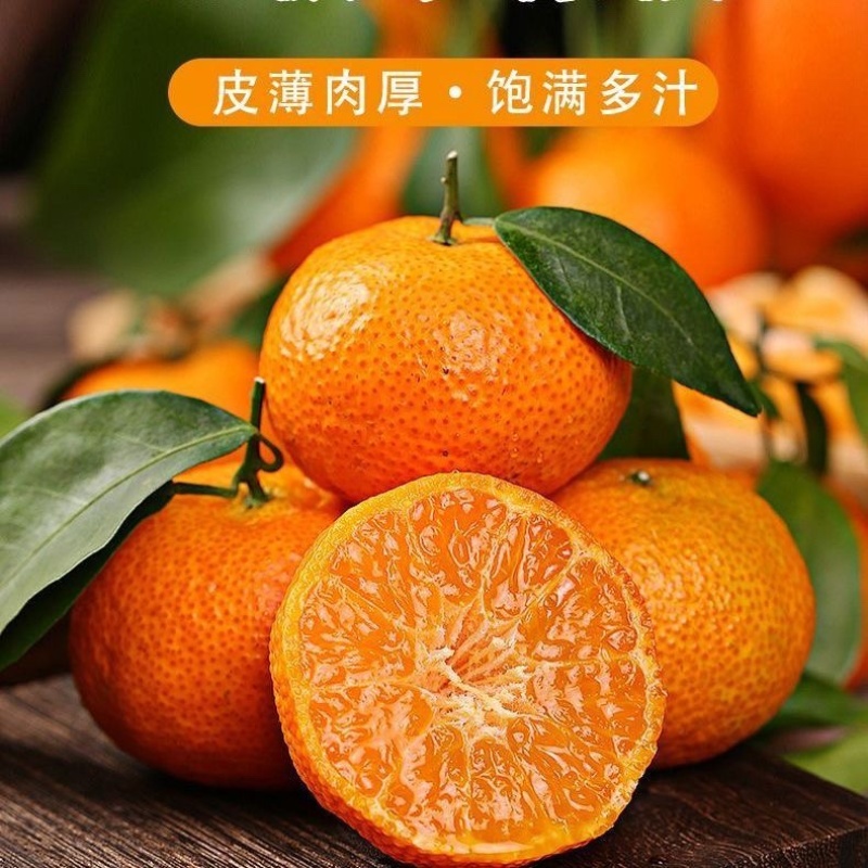 砂糖橘，承接各大电商平台，美团多多仓商超，售后无忧，价低