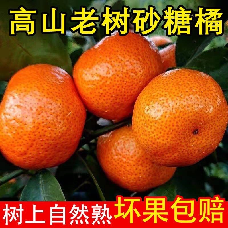 砂糖橘，承接各大电商平台，美团多多仓商超，售后无忧，价低