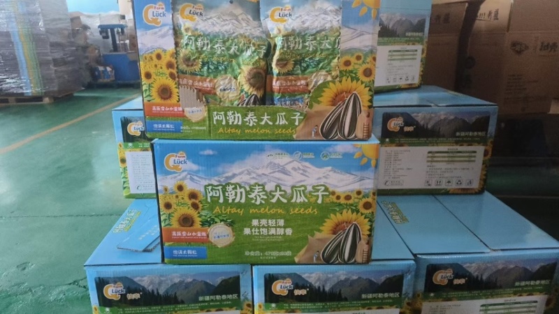 阿勒泰大瓜子大颗一级高品质