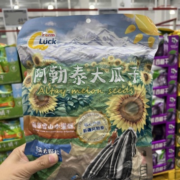 阿勒泰大瓜子大颗一级高品质