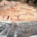 锡盟本地黄牛蹄筋