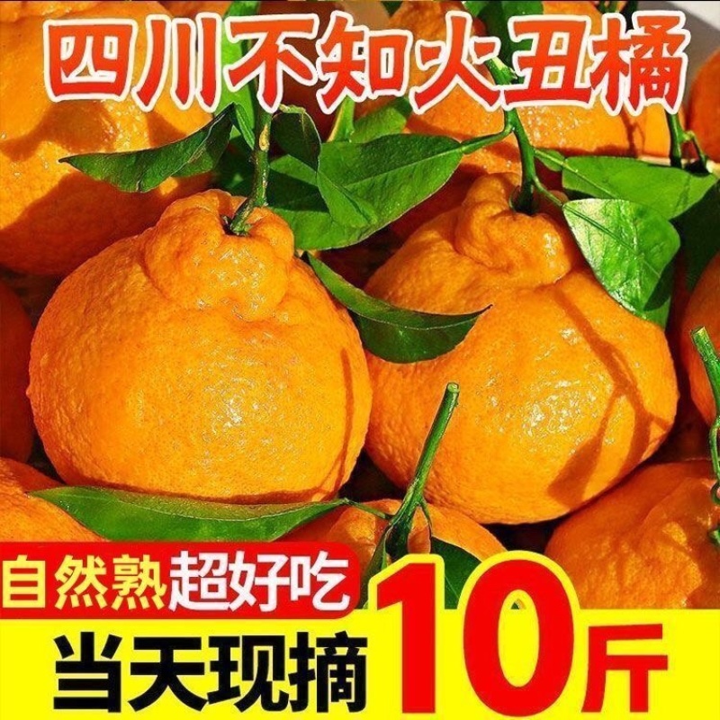 丑橘粑粑柑不知火对接各大电商平台一件代发日发万单以上的量
