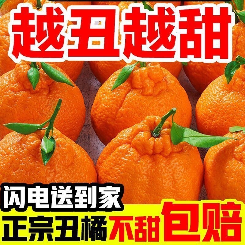 丑橘粑粑柑不知火对接各大电商平台一件代发日发万单以上的量