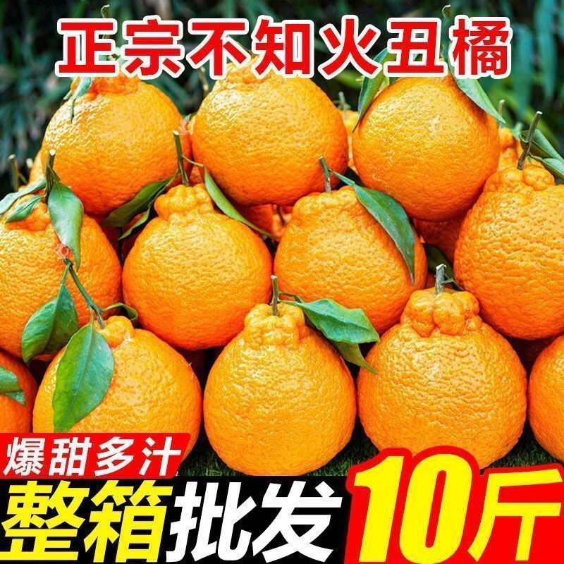 丑橘粑粑柑不知火对接各大电商平台一件代发日发万单以上的量