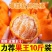 丑橘粑粑柑不知火对接各大电商平台一件代发日发万单以上的量