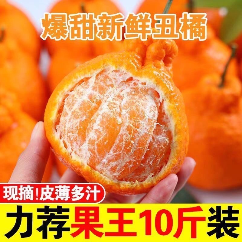 丑橘粑粑柑不知火对接各大电商平台一件代发日发万单以上的量