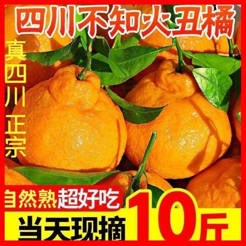 丑橘粑粑柑不知火对接各大电商平台一件代发日发万单以上的量