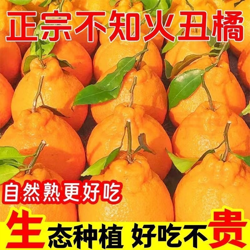 丑橘粑粑柑不知火对接各大电商平台一件代发日发万单以上的量