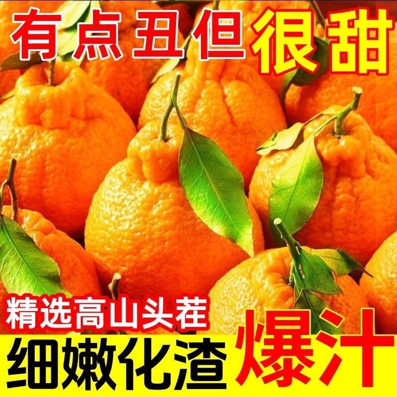 丑橘粑粑柑不知火对接各大电商平台一件代发日发万单以上的量