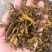 黄连片500克中药材批发现货供应黄连片量大从优