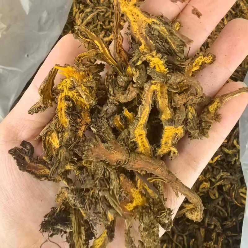 黄连片500克中药材批发现货供应黄连片量大从优