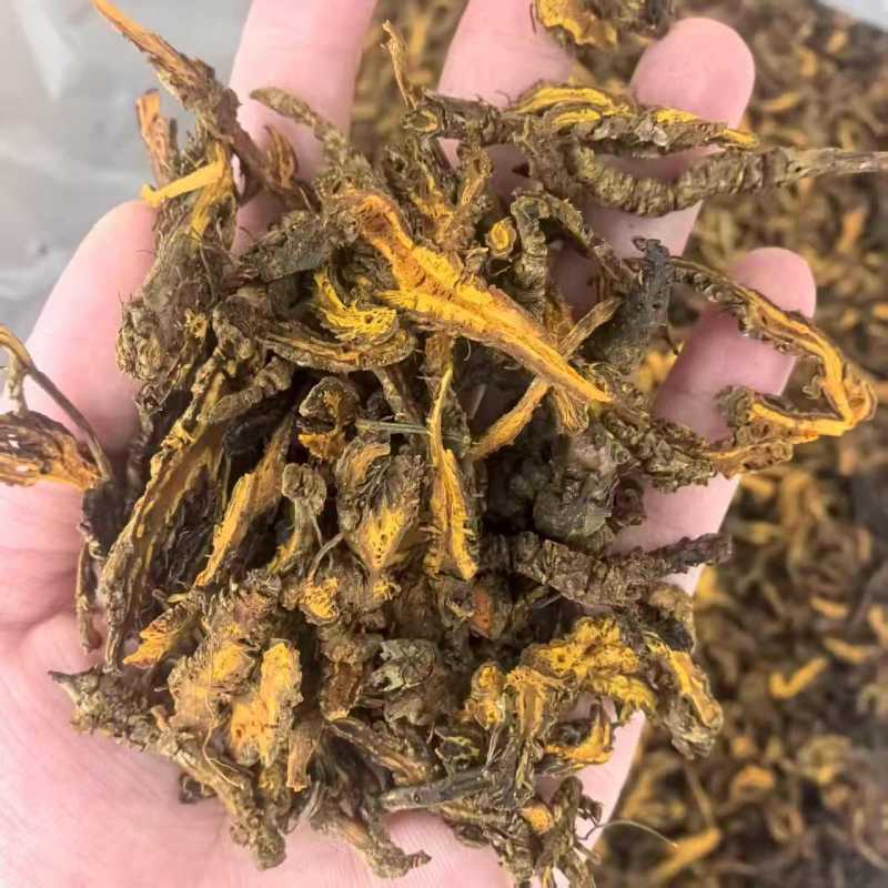 黄连片500克中药材批发现货供应黄连片量大从优