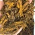 黄连片500克中药材批发现货供应黄连片量大从优