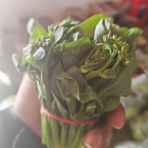 苏北青菜苔