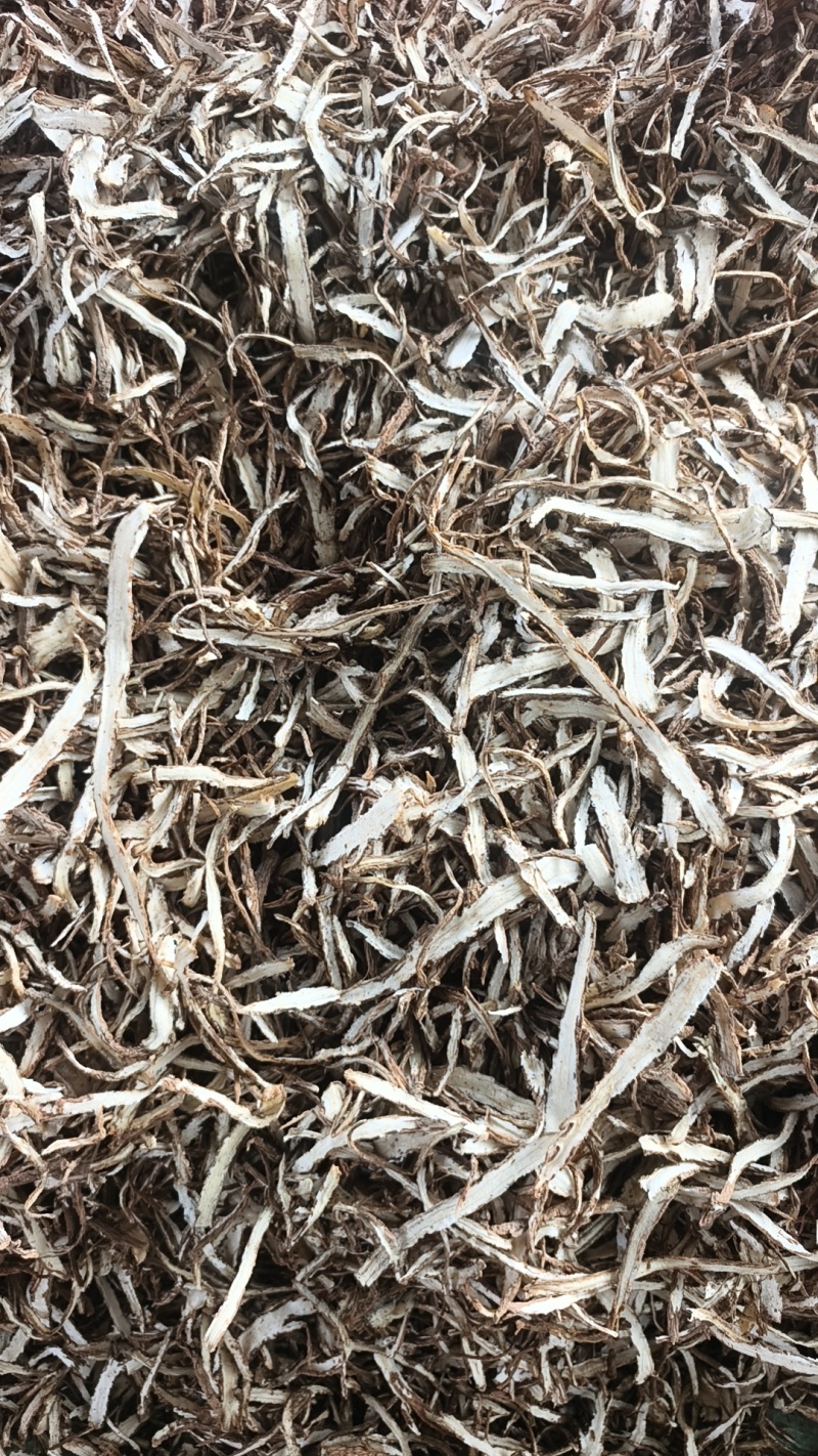 甘肃特产当归头片