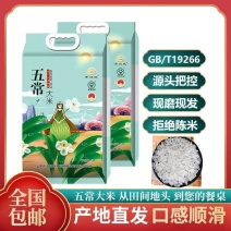 正宗五常千晌地牌一级长粒香米中科发五优质香米10斤装包邮