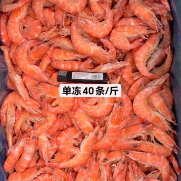 单冻白对虾35/40/45/50/60/现货5000件