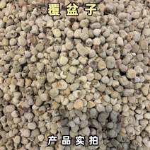 覆盆子中药材过筛陈货含量高浙江正品质量好不掺三月泡