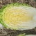 湖北产地黄心大白菜，承接各大市场商超配送中心全国发货