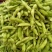 汇蔬沪宁95一1毛豆种子高产早熟菜用绿宝石大豆黄豆蔬菜种