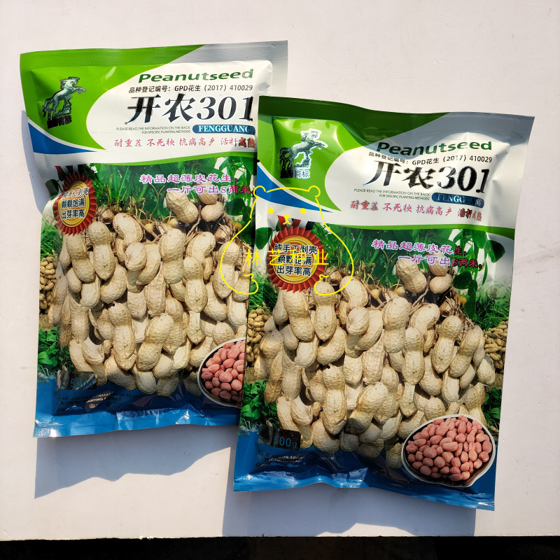 开农301花生种子耐重茬抗病高产活杆成熟油食型花生