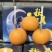 山东二菜阳秋月梨，口感脆甜汁多无渣