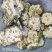 瓜蒌实全栝娄实栝瓜蒌新鲜切片干瓜蒌中药材无硫量大从优