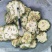 瓜蒌实全栝娄实栝瓜蒌新鲜切片干瓜蒌中药材无硫量大从优