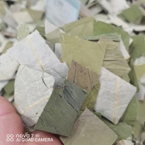 荷叶荷叶茶新货荷叶切块规格齐全一手货源量大从优