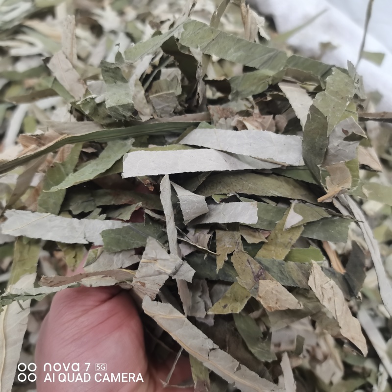 荷叶荷叶茶新货荷叶切块规格齐全一手货源量大从优