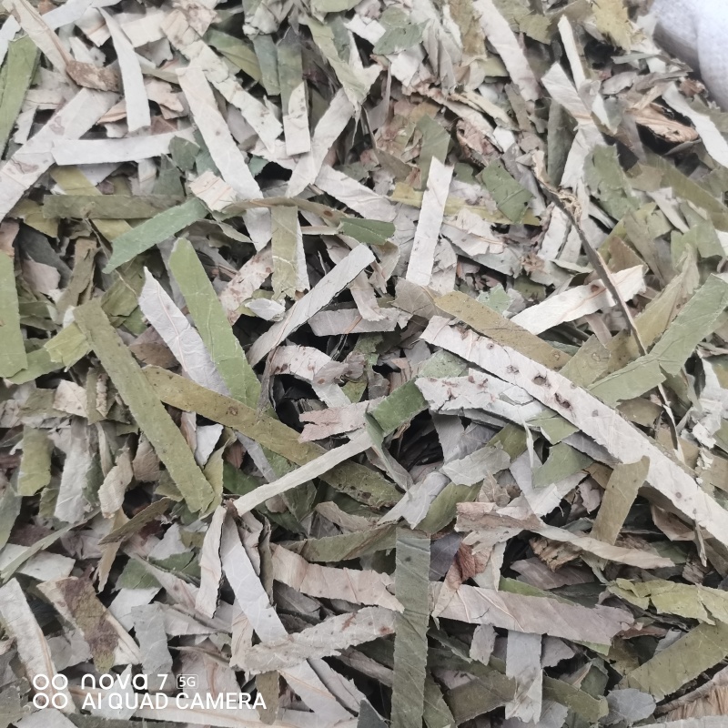 荷叶荷叶茶新货荷叶切块规格齐全一手货源量大从优
