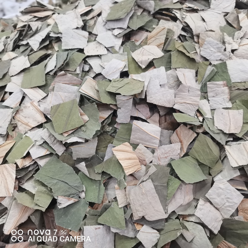 荷叶荷叶茶新货荷叶切块规格齐全一手货源量大从优