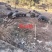 原生态散养跑山黑猪