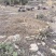 原生态散养跑山黑猪