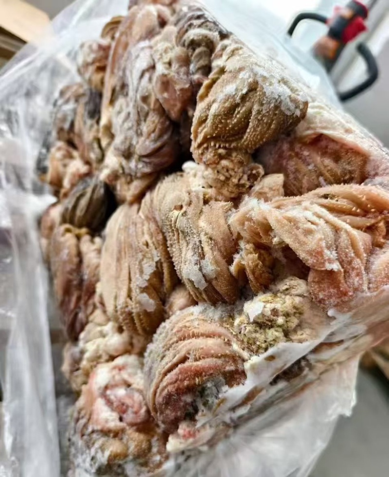 纯干羊百叶