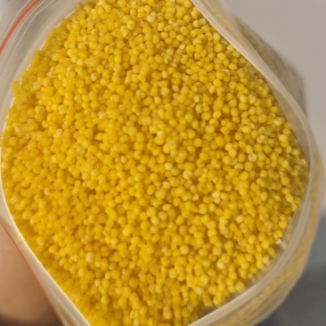 精品山西小米