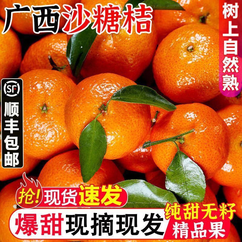正宗广西砂糖橘当季新鲜水果薄皮沙糖桔子蜜桔蜜