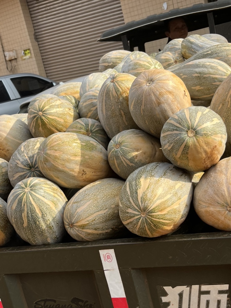 广东密本南瓜，老南瓜，产地直发，一手货源，大量有货