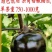 嫁接圆茄苗早春特惠冷棚露地皆适配抗病抗重茬采收期长产量高