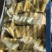 速冻糯玉米