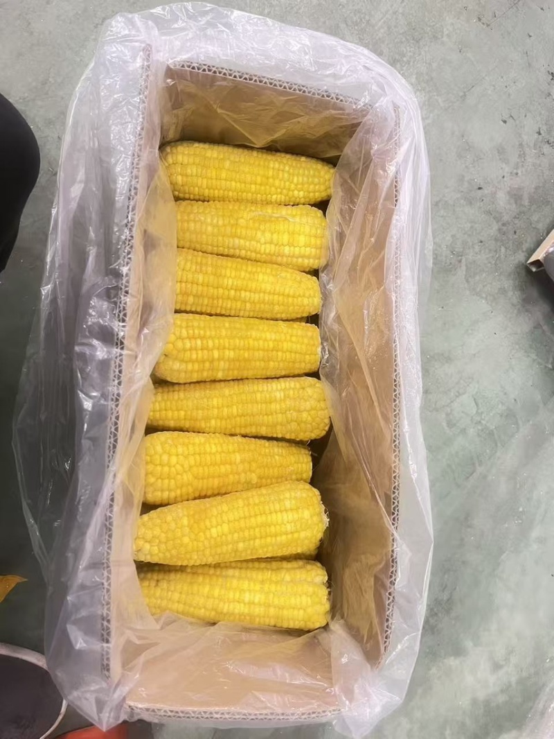 速冻糯玉米