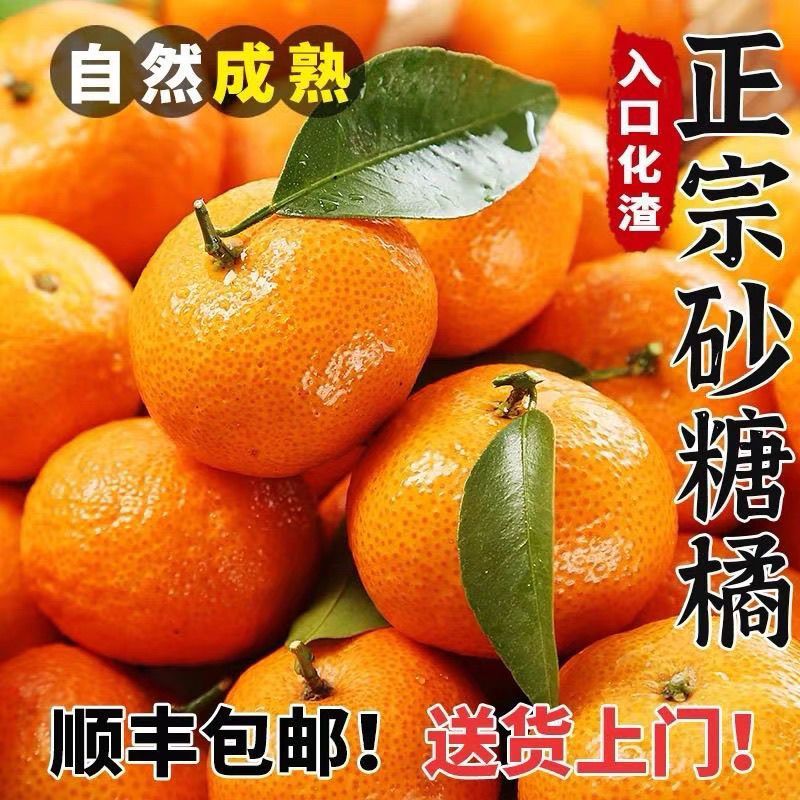 正宗广西新鲜橘子金秋砂糖薄皮现摘沙糖桔当季水果无籽整箱批